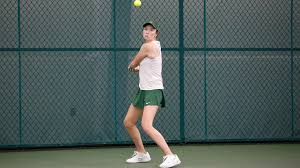 Image result for Ivybridge Tennis Club