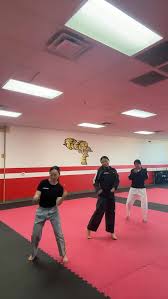 Image result for Invertay Taekwondo Club