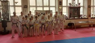 Image result for Bristol Karate Club