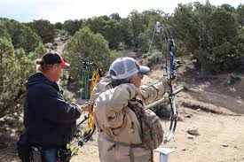 Image result for Silver Arrow Archery