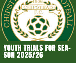 Image result for Chipstead Fc