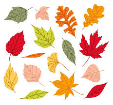 Attēlu rezultāti vaicājumam “leaf”