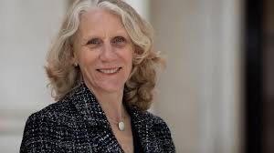 Attēlu rezultāti vaicājumam “Badhamia juliae”