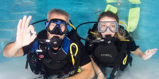 Image result for Meadurst Sub-Aqua Club