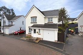 Image result for Newton Abbott Knights