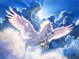 http://t0.gstatic.com/images?q=tbn:ANd9GcQM2iIkE4R1wLc7tjAHsVAGRJ3Csh_U7giYVv4Xb9Kk7fMDha0F