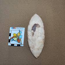 Image result for feuille-laurier-silex