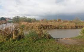 Image result for Bay Malton Angling Club