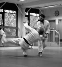 Image result for Basingstoke Aiuchi jiu Jitsu Club