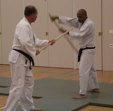 Image result for Epsom & Ewell Karate Club