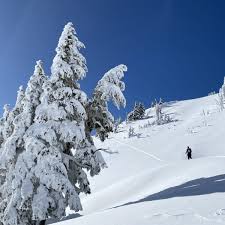 Image result for Brunel University Snow Club