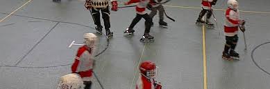 Image result for Godalming In-Line Hockey Club