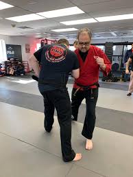 Image result for Professional  Martial Arts Academy