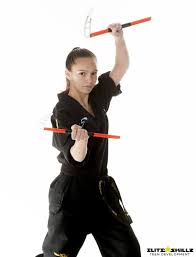Image result for Skillz Martial Arts