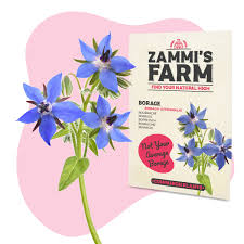 Attēlu rezultāti vaicājumam “Borago officinalis bud”