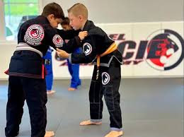 Image result for Daniel Gracie Academy