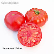 Afbeeldingsresultaat voor kosmonaut volkov 68D tomato