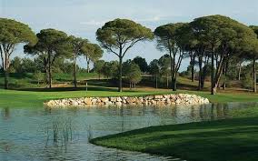 Image result for Cornelia Badminton Club