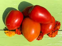 Afbeeldingsresultaat voor amish paste tomato