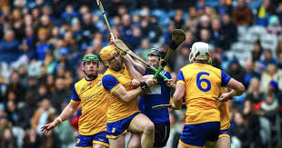 Image result for Sarsfields Hurling Club