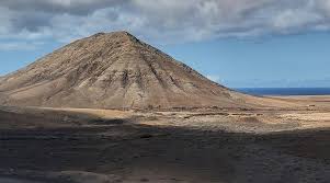 Attēlu rezultāti vaicājumam “Tubifera montana”