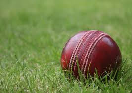 Image result for Bashley (Rydal) Cricket Club