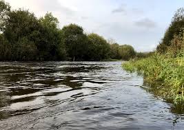 Image result for Orpington District Angling Association
