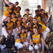 Image result for Cheetahs Softball Team