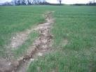 SY7486 : Soil erosion - via Daymix