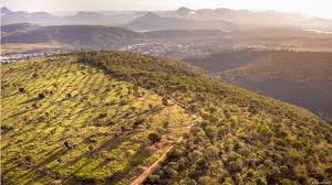 Image result for sebastiao salgado