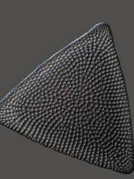 Attēlu rezultāti vaicājumam “Didymium clavus spores”