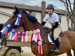 Image result for Weybridge Equestrian Centre