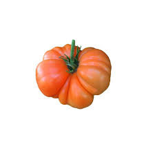 Afbeeldingsresultaat voor amana orange beefsteak tomato