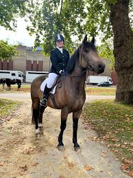 Image result for Civil Service Riding Club (Csrc)