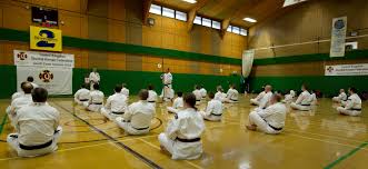 Image result for Tolworth Shorinji Kempo Branch