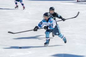 Image result for Sheffield Wildcats Rink Hockey and Roller Skating Club