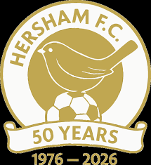 Image result for Hersham Hockey Club