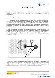 Image result for www.mecd.gob.es