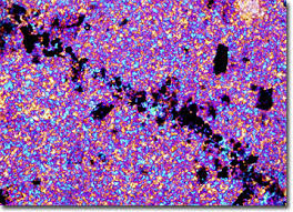 Image result for SEM micrographs of Novaculite Arkansas