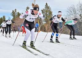 Image result for Gordon Skiers
