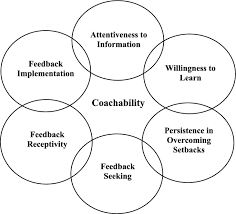 Image result for Coachability