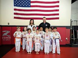 Image result for United Sport Karate