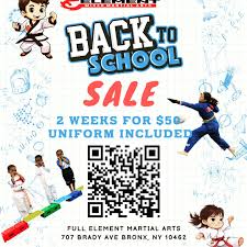 Image result for Full Element Mixed Martial Arts