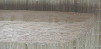 Image result for Shiro Kashi Aikido Club