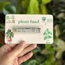 Attēlu rezultāti vaicājumam “Seligeria pusilla”