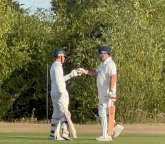 Image result for Wrecclesham Cricket Club
