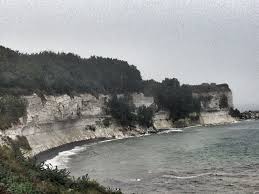 Image result for stevns klint