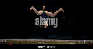 Image result for Pinewood Gymnastics Club