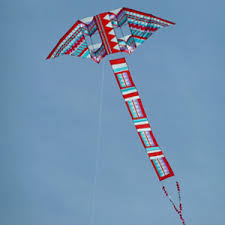 Image result for White Horse Kite Fliers Club