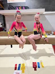 Image result for Allstarz Gymnastics Club